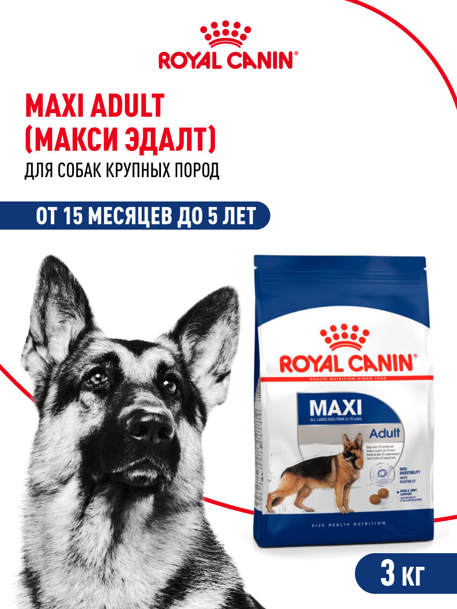 Сухой корм для собак Royal Canin Maxi Adult для крупных пород от 15 месяцев до 5 лет, 3 кг — фото 1