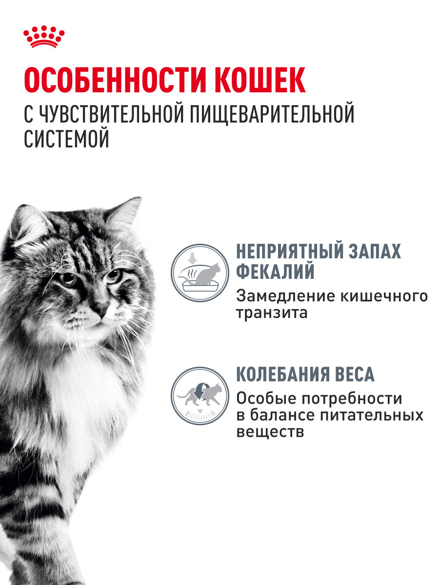 Корма Для Кошек Xiaomi Влажный корм для кошек Royal Canin Digestive Care при чувствительном пищеварении, кусочки в соусе, 28 шт по 85 г
