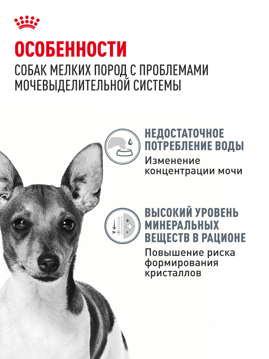 Сухой корм для собак мелких пород Royal Сanin Mini Urinary Care для чувствительной мочевыделительной системы, 1 кг — фото 1