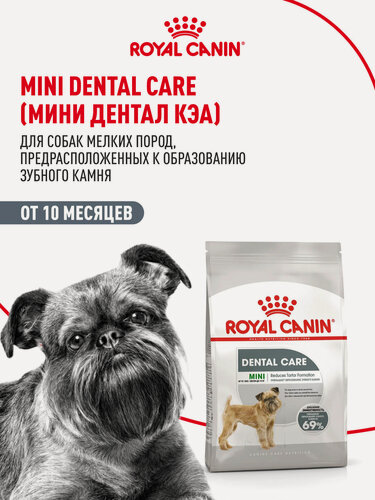 Изображение товара Сухой корм для собак мелких пород Royal Canin Mini Dental Care для ухода за зубами, 3 кг