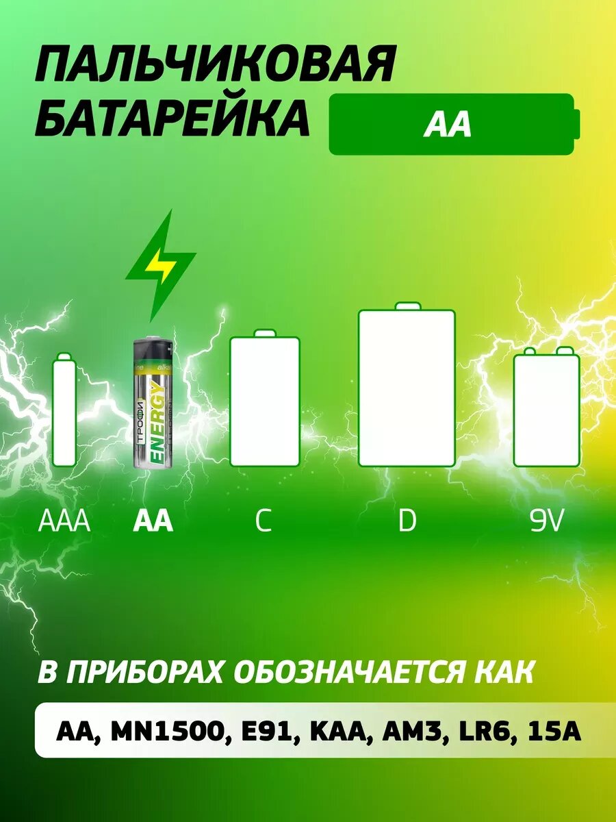 Батарейки пальчиковые АА Трофи LR6-12S ENERGY Alkaline, 12 штук — фото 1