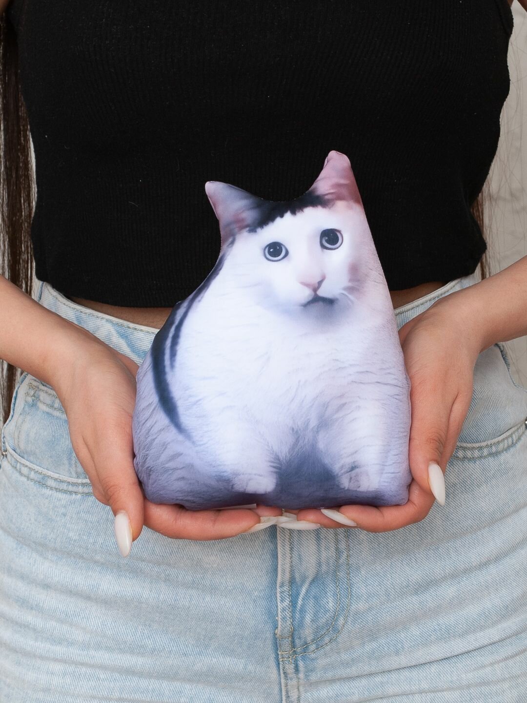 Мягкая антистресс мини игрушка-подушка Нескучные вещи кот мем "Кот с вопросами"