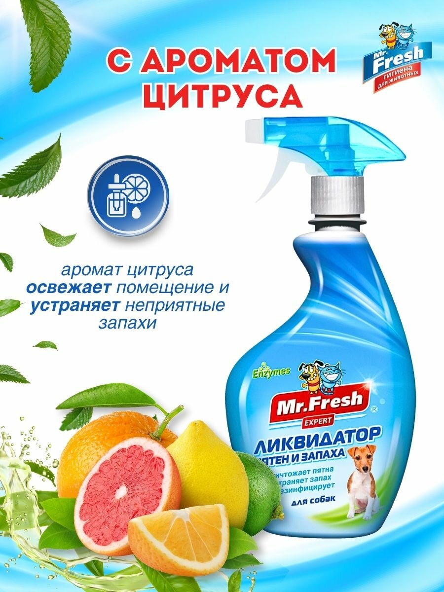 Ликвидатор запаха и пятен для собак Mr.Fresh 500 мл — фото 1