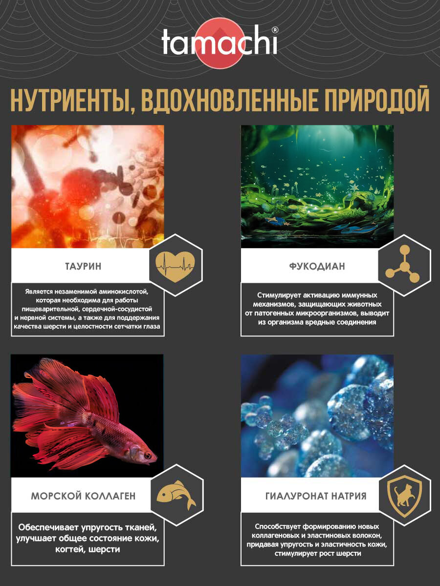 Витамины для кошек Tamachi Taurine для зрения и сердца 100шт — фото 1