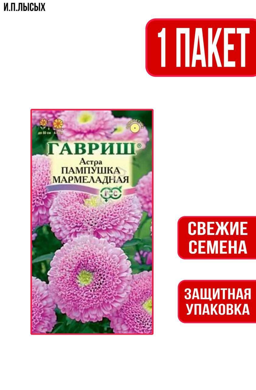 Семена цветов Астра Пампушка мармеладная помпонная розовая
