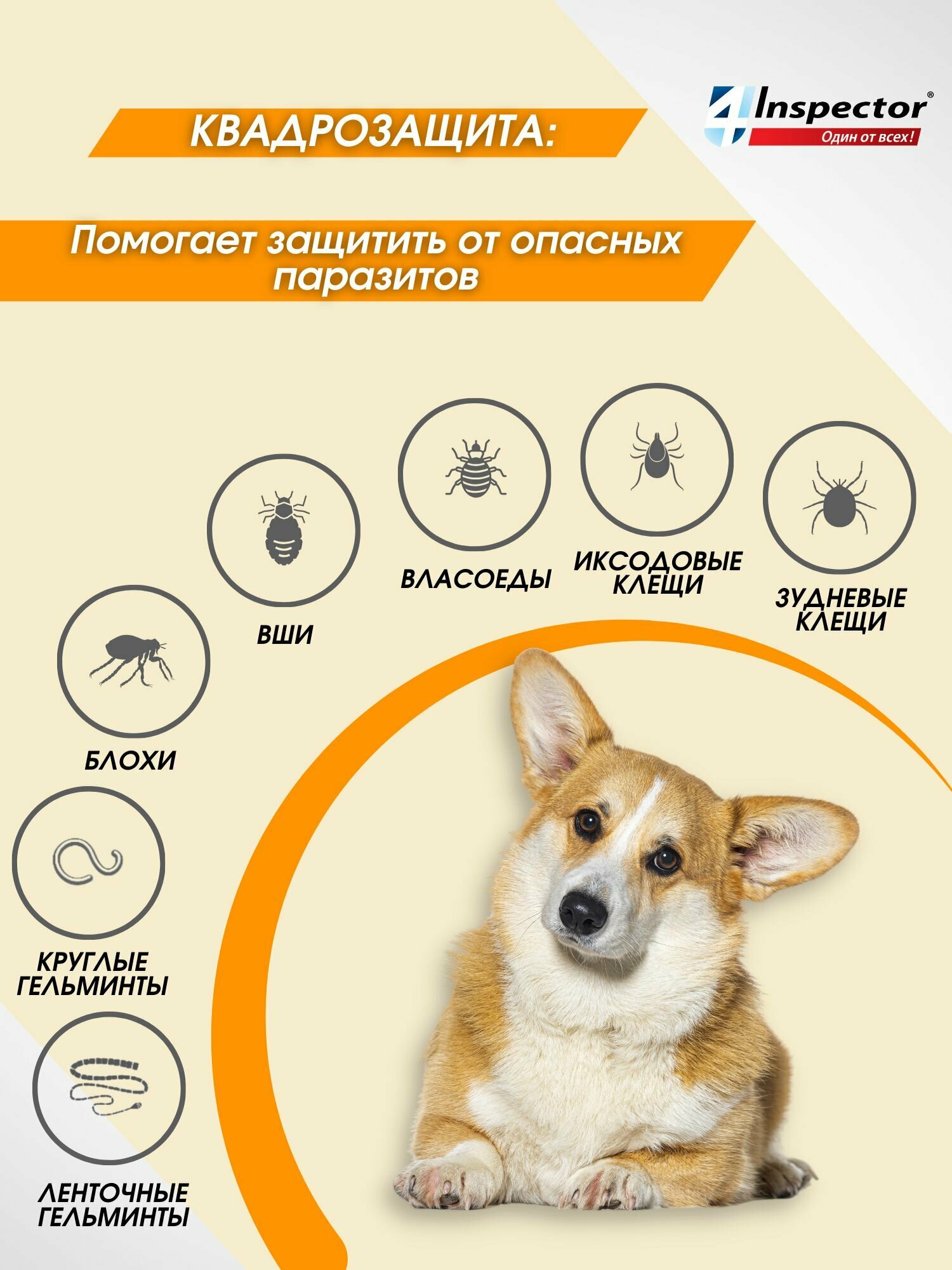 Инспектор Квадро С Капли для собак 1-4 кг. от блох, клещей, гельминтов (3 пипетки) — фото 1