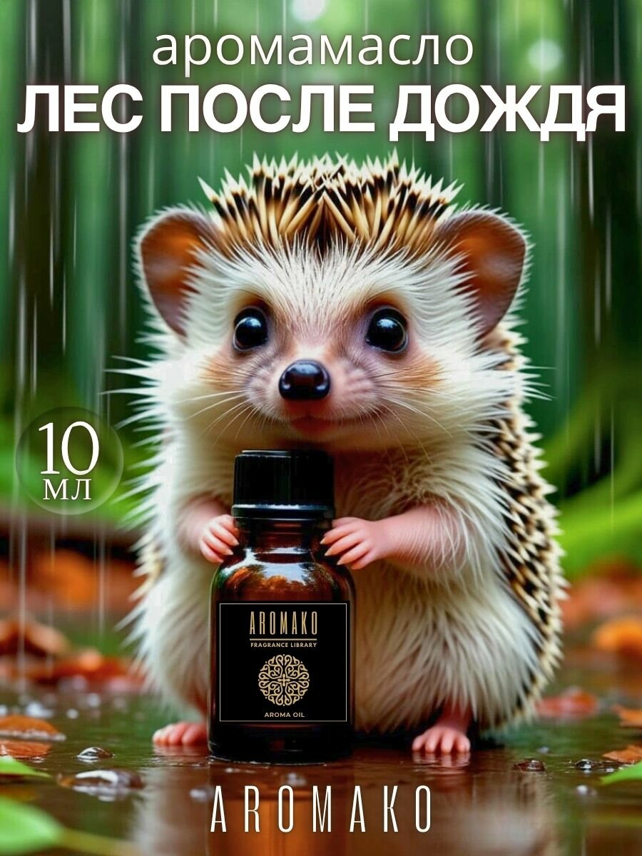 Аромамасло AromaKo "Лес после дождя", для увлажнителя и диффузора, 10мл