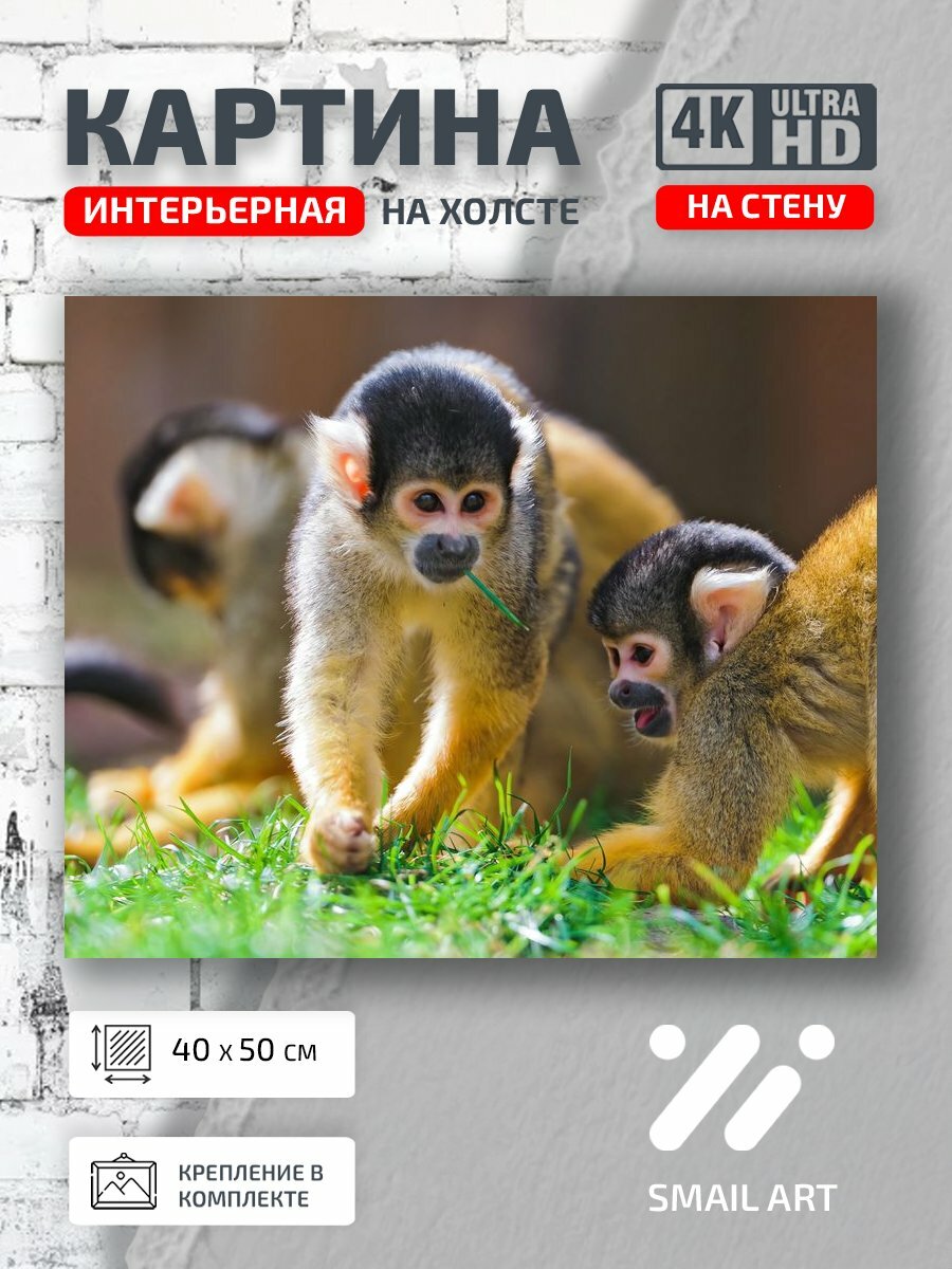 Картина на холсте интерьерная 40 на 50 на стену Траве Mood для офиса атмосфера интерьер