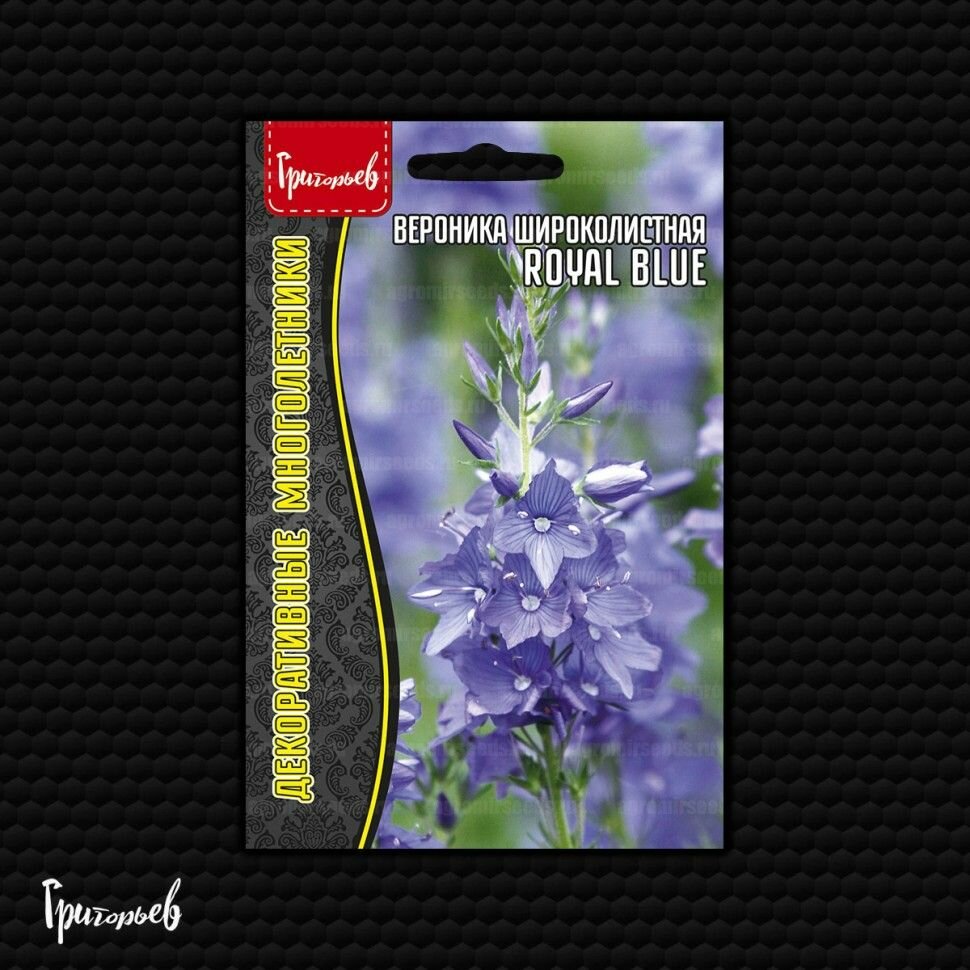 Вероника Royal Blue широколистная 01г / Редкие семена
