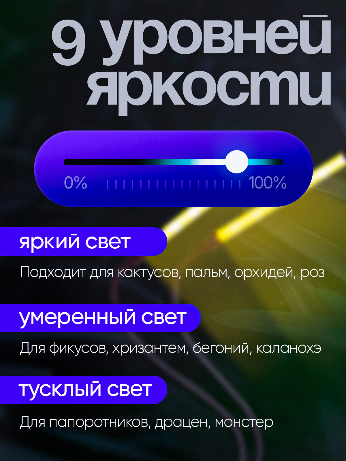 Фито лампа для растений с таймером на прищепке Огонек OG-LDP20W — фото 1
