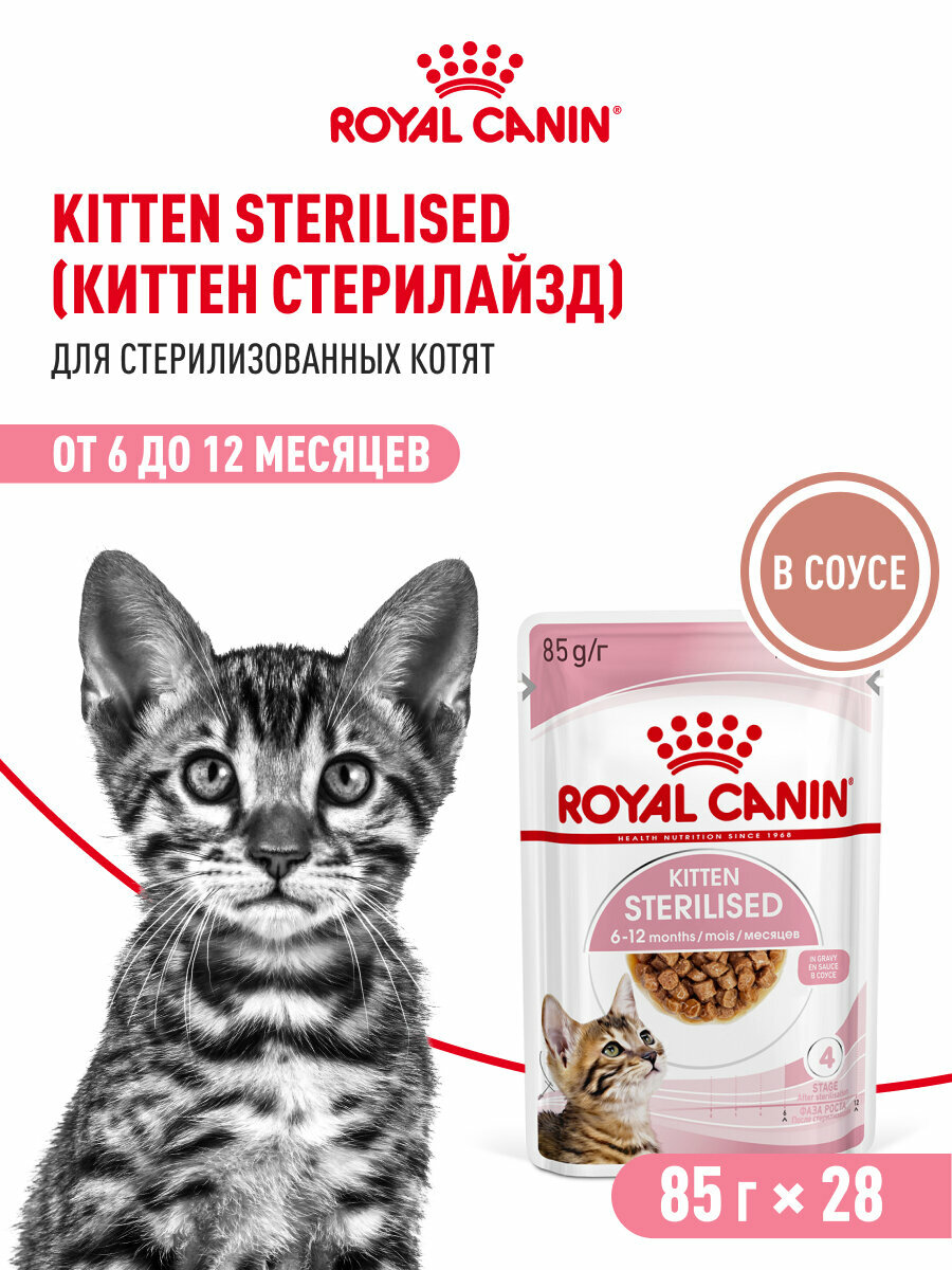 Влажный корм для стерилизованных котят Royal Canin Kitten Sterilised кусочки в соусе, 28 шт по 85 г — фото 1
