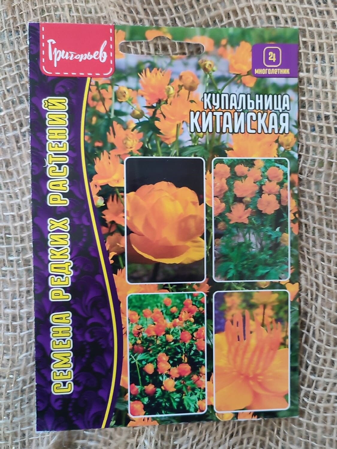 Купальница Китайская (Азиатская) семена 20 шт. в упаковке многолетнее растение.