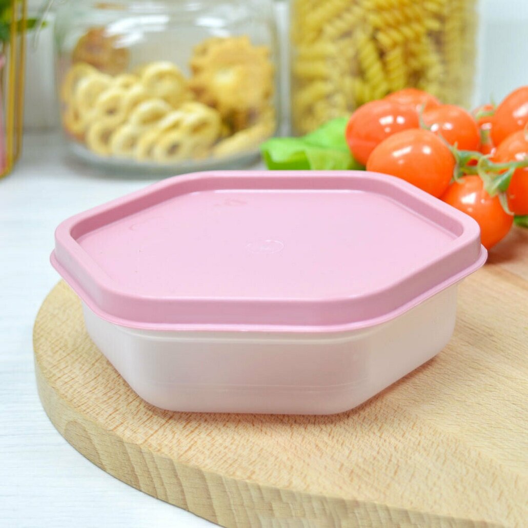 Контейнер пластиковый 025л с прозрачной частью и коралловой крышкой