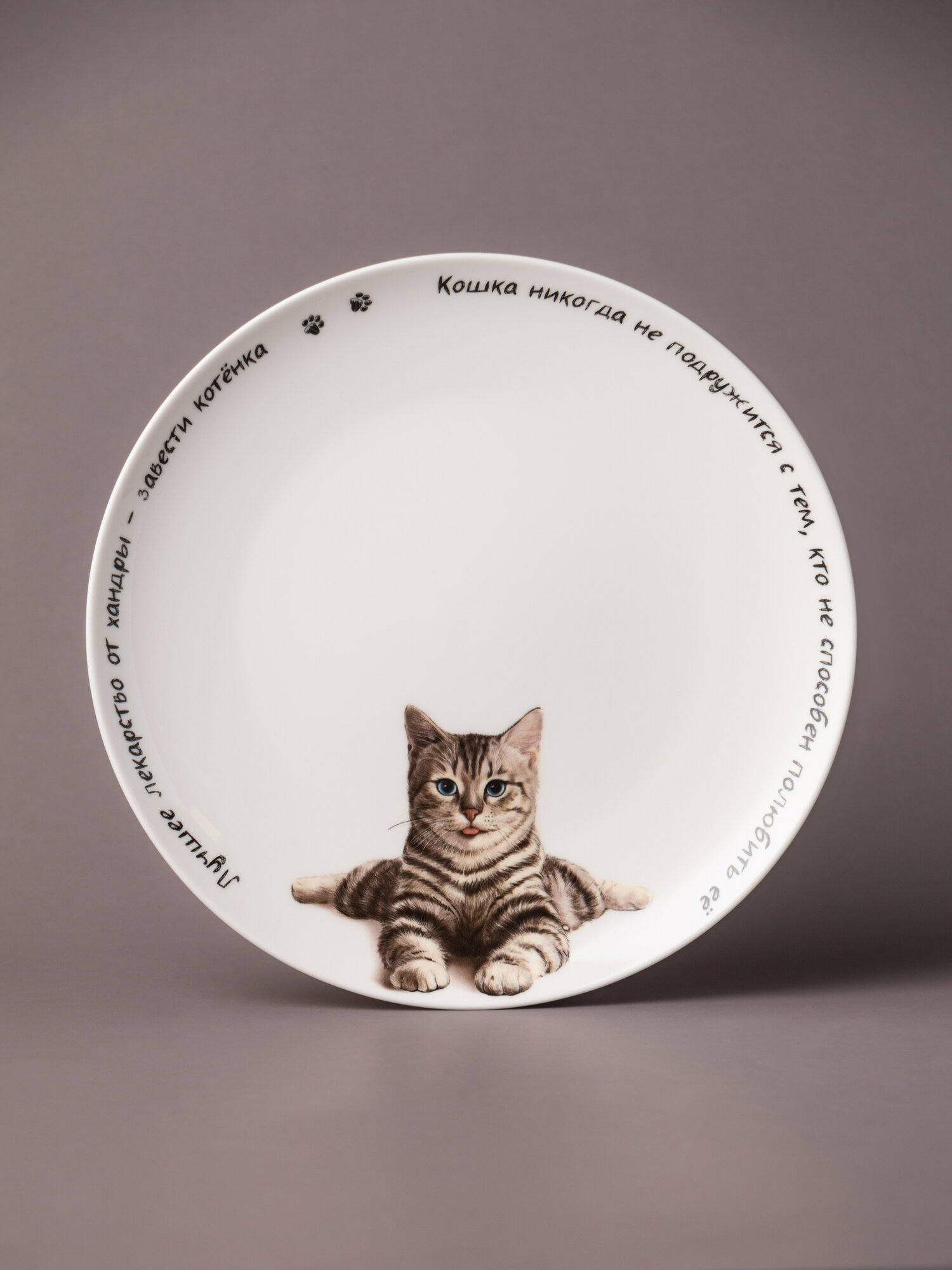 Тарелка Lefard "Бери кота", закусочная, 1 шт, фарфоровая, 20,5 см
