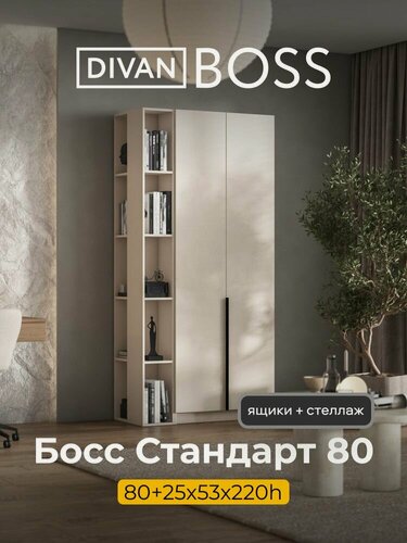 Изображение товара Шкаф распашной, BOSS STANDART, 105х53х220 см, 2х дверный с ящиками и стеллажом, кашемир