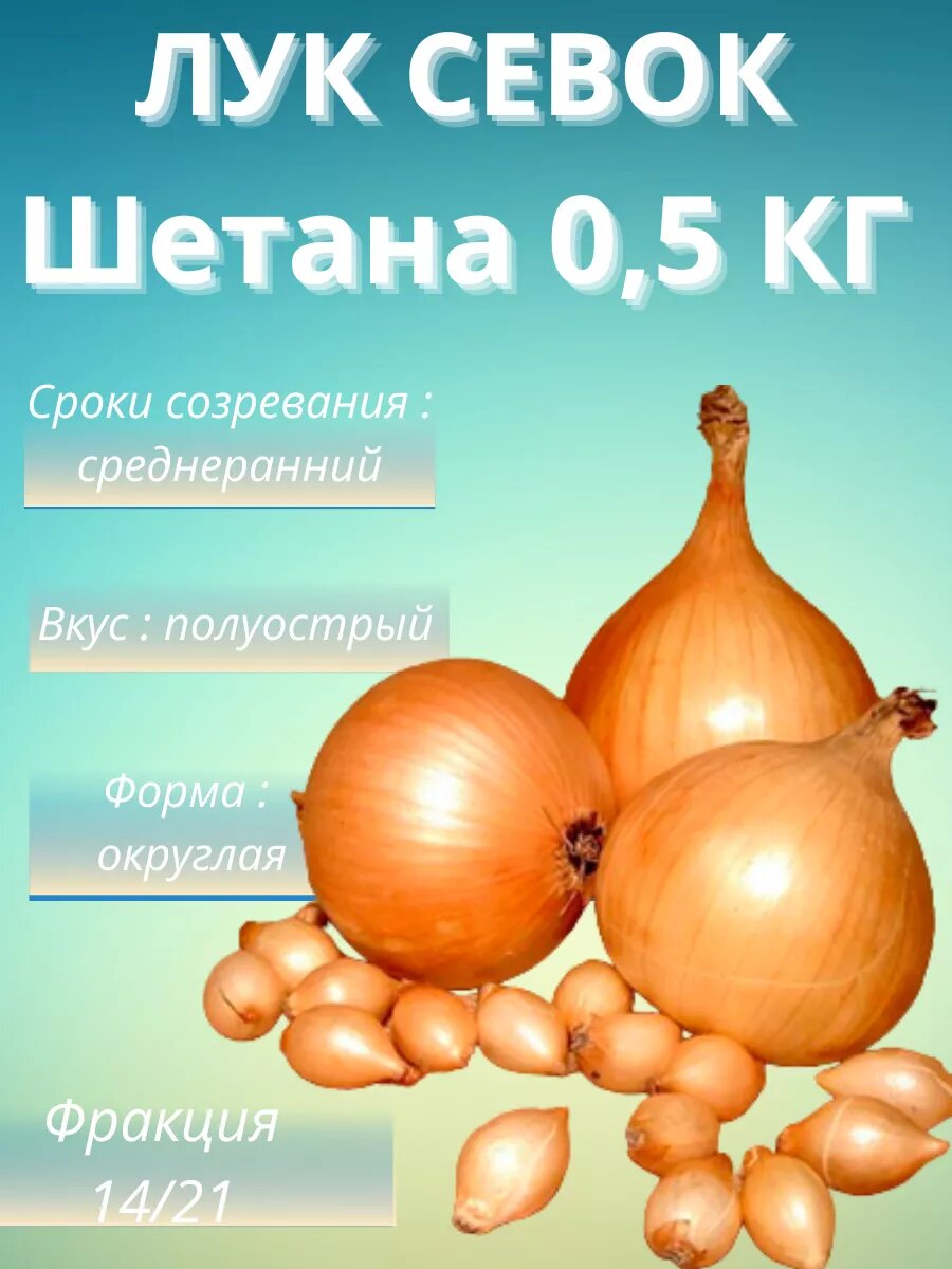 Лук севок Шетана 0.5 кг