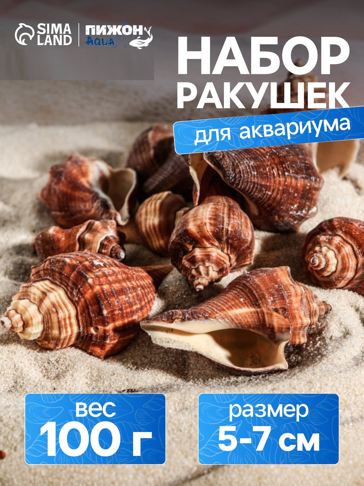 Набор ракушек Пижон Аква, размер 5 - 7 см, 100 г, цвет коричневый