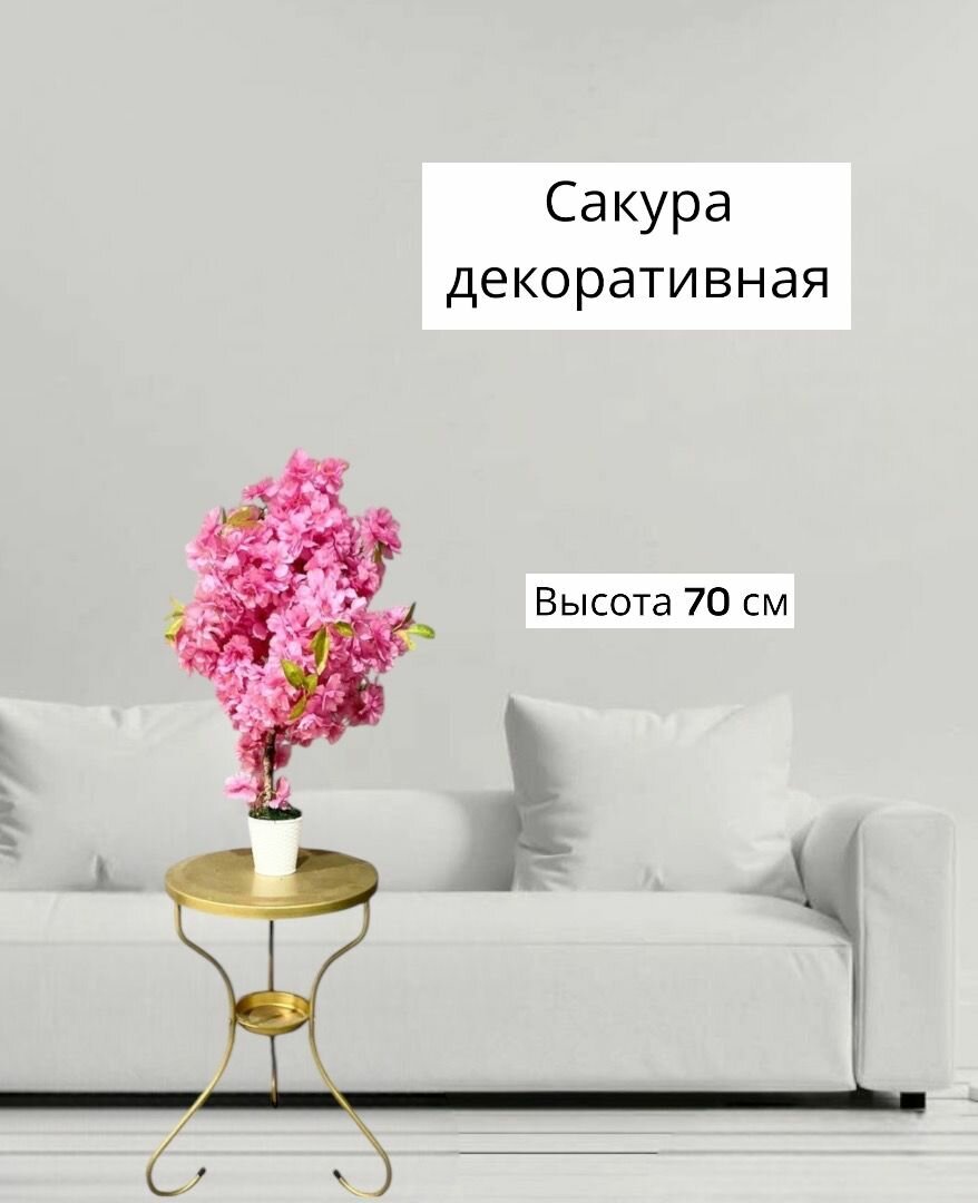 Сакура настольная