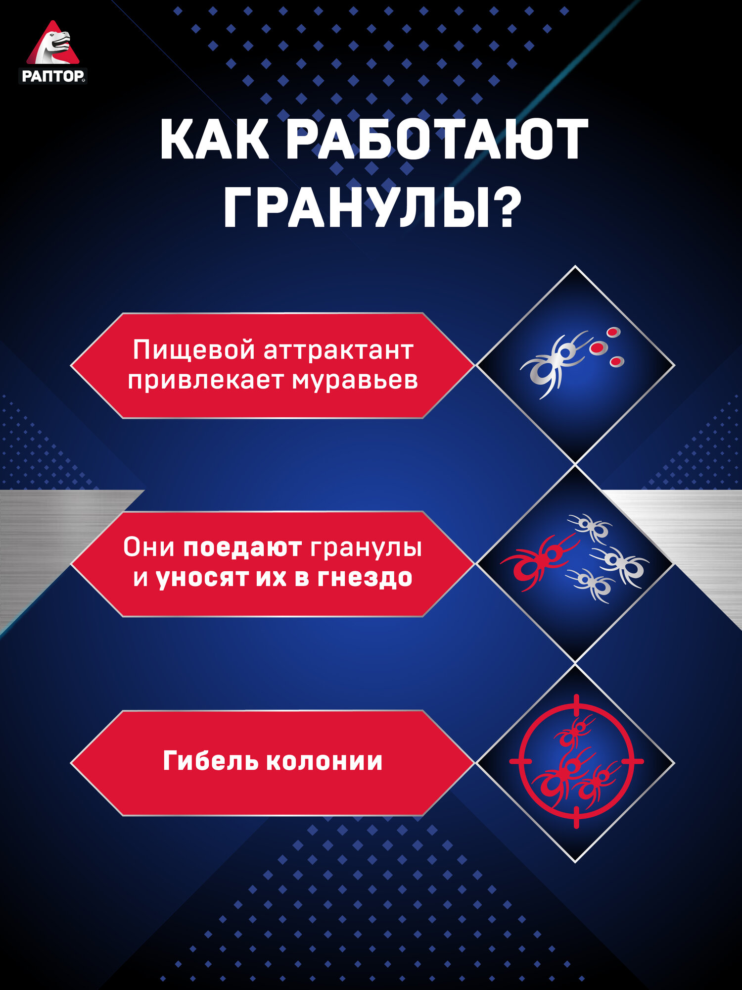 Средство от муравьев домашних, садовых, отрава Раптор, защита, 100 г х 2 шт. — фото 1