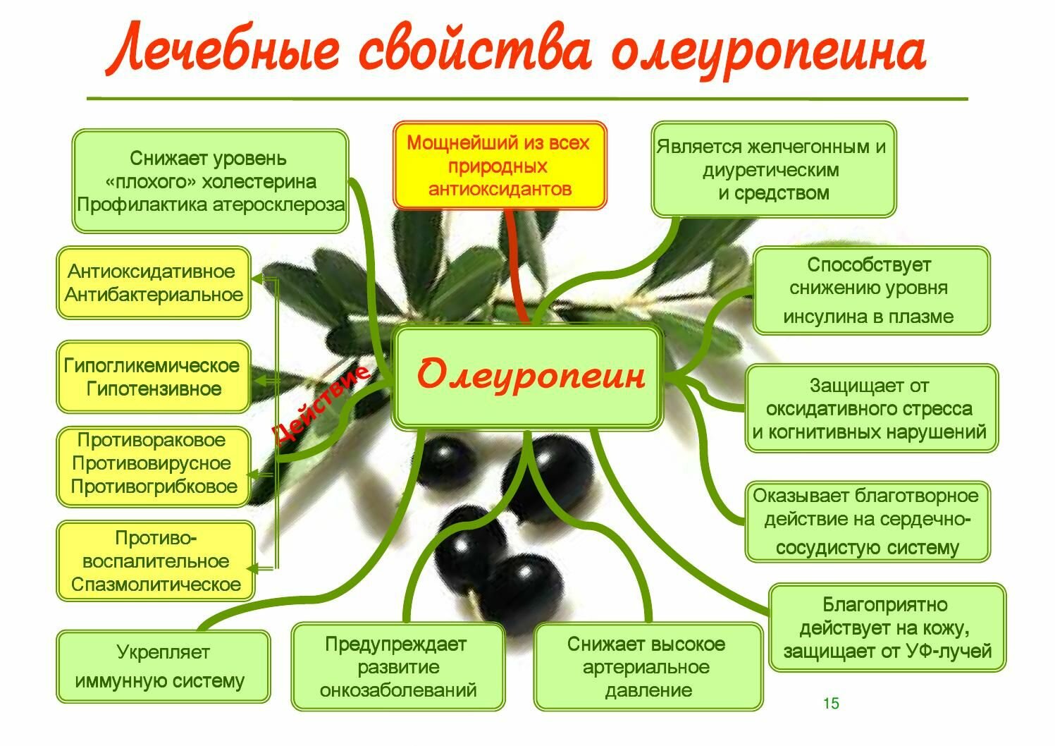 Изображение Листья Оливы экстракт 10%, порошок 100 грамм (не менее 10% Олеуропеина)!