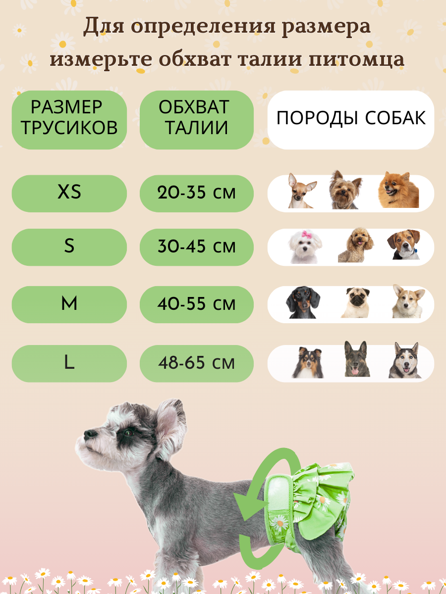 Трусы для собаки во время течки многоразовые, размер S, подгузники для собак впитывающие — фото 1