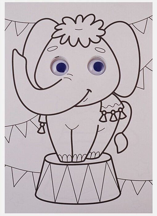 На Арене Цирка — фото 1