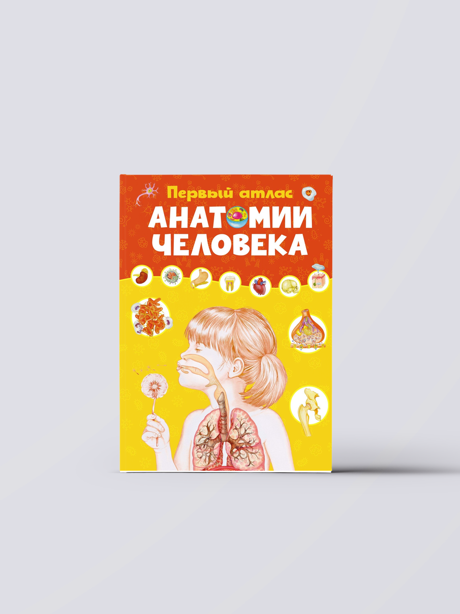 Первый атлас анатомии человека | Элеонора Барсотти