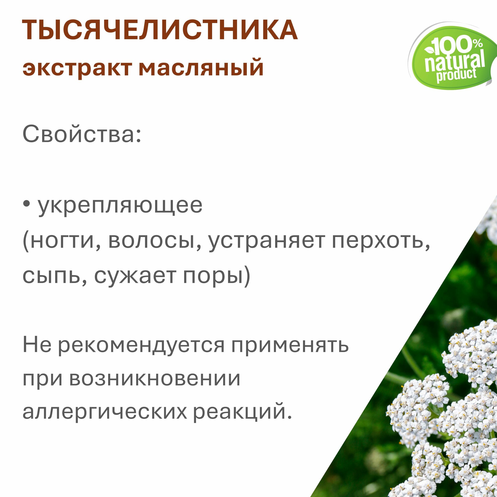 Обезболивающие Настойки И Экстракты Экстракт тысячелистника, масляный - 500 мл