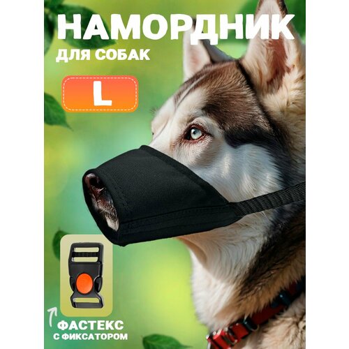 Намордник для собак