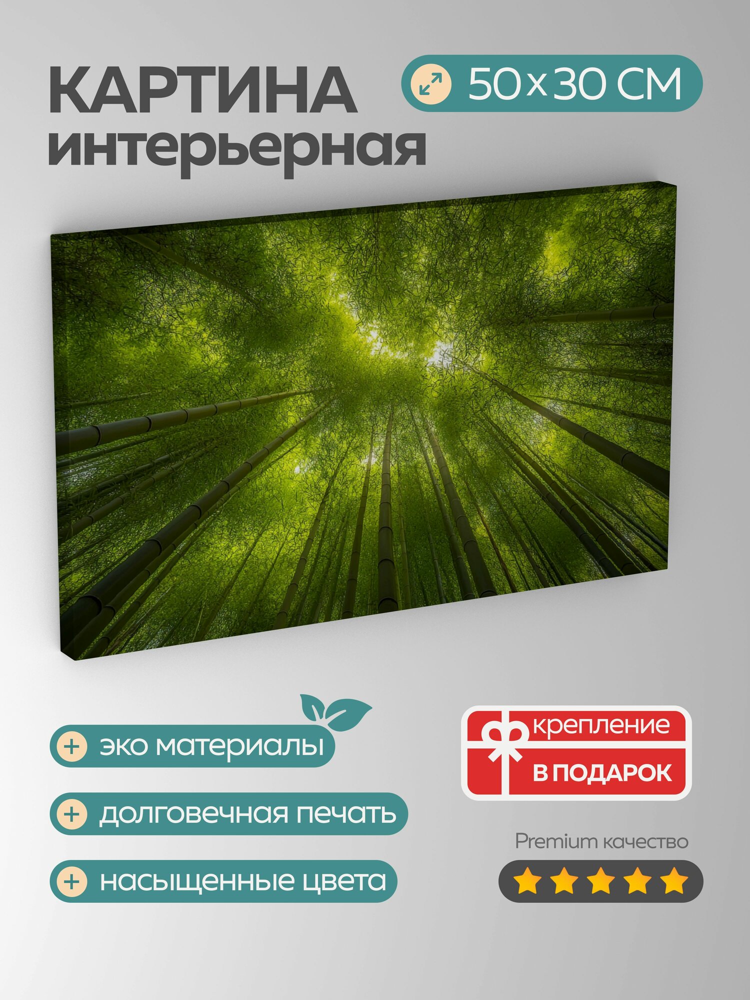 Картина на холсте интерьерная 50х30 см, Бамбуковый лес, японский, утро, зеленые оттенки, бамбуковые стебли, f