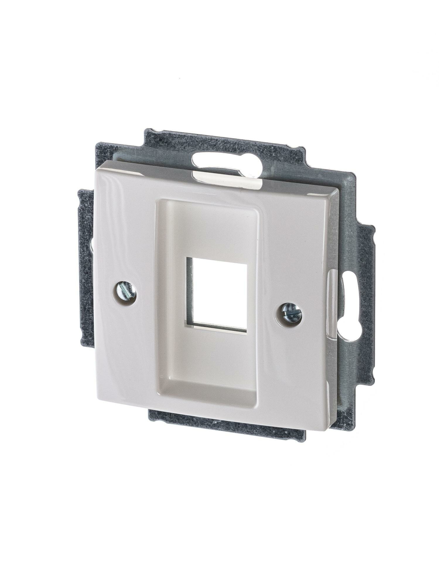 ABB BJB Basic 55 Бел Плата центральная 1-я для коммуникац розеток 0210 0211 и 0219 2CKA001753A0213