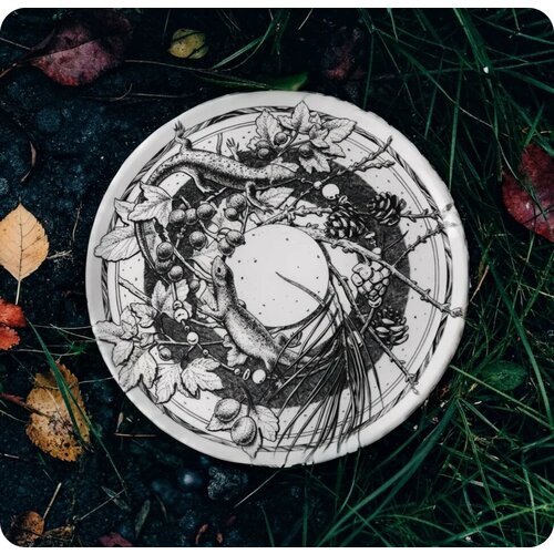 Тарелка АНТИХРУПКОСТЬ 