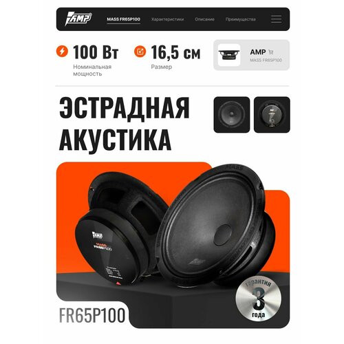 AMP MASS FR65P100