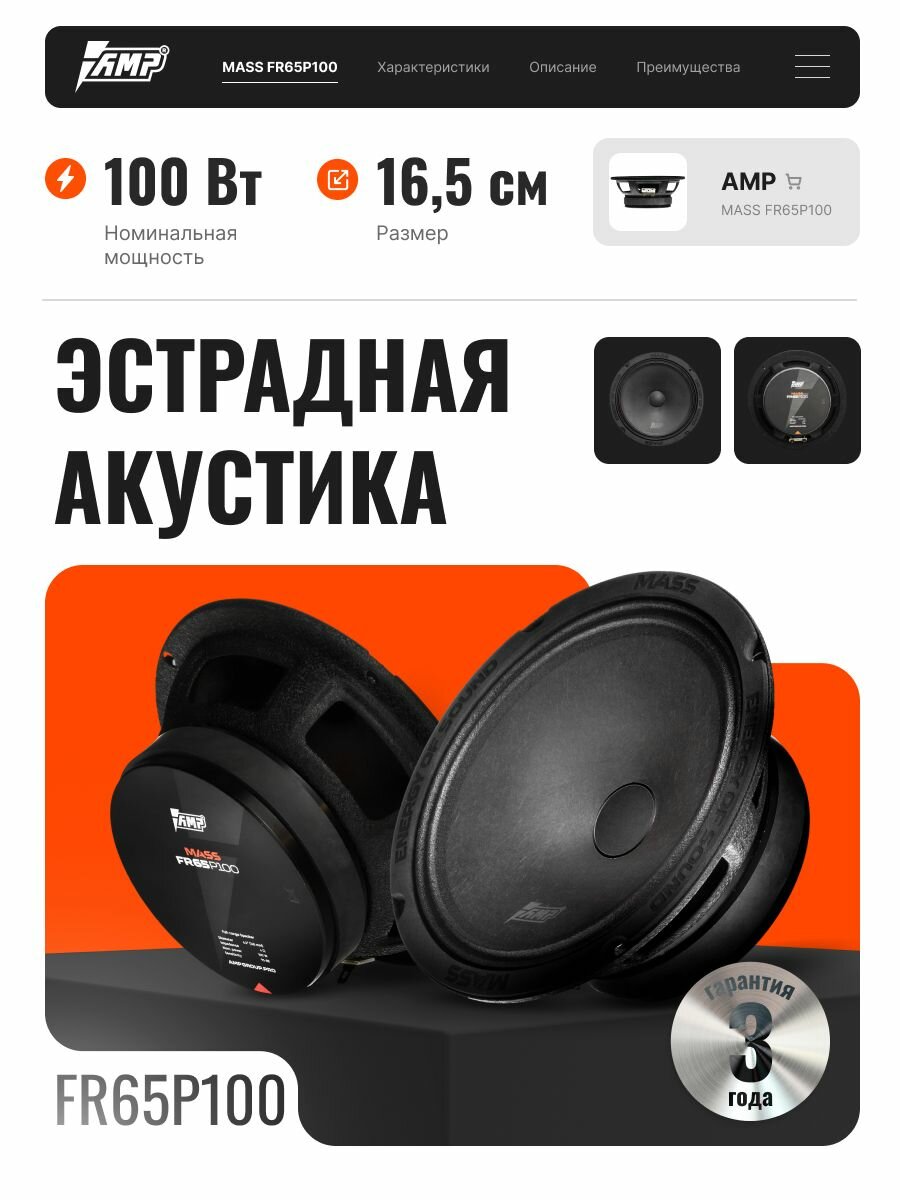Акустика эстрадная AMP MASS FR65P100 автомобильная, 100/200 Вт, 6.5"