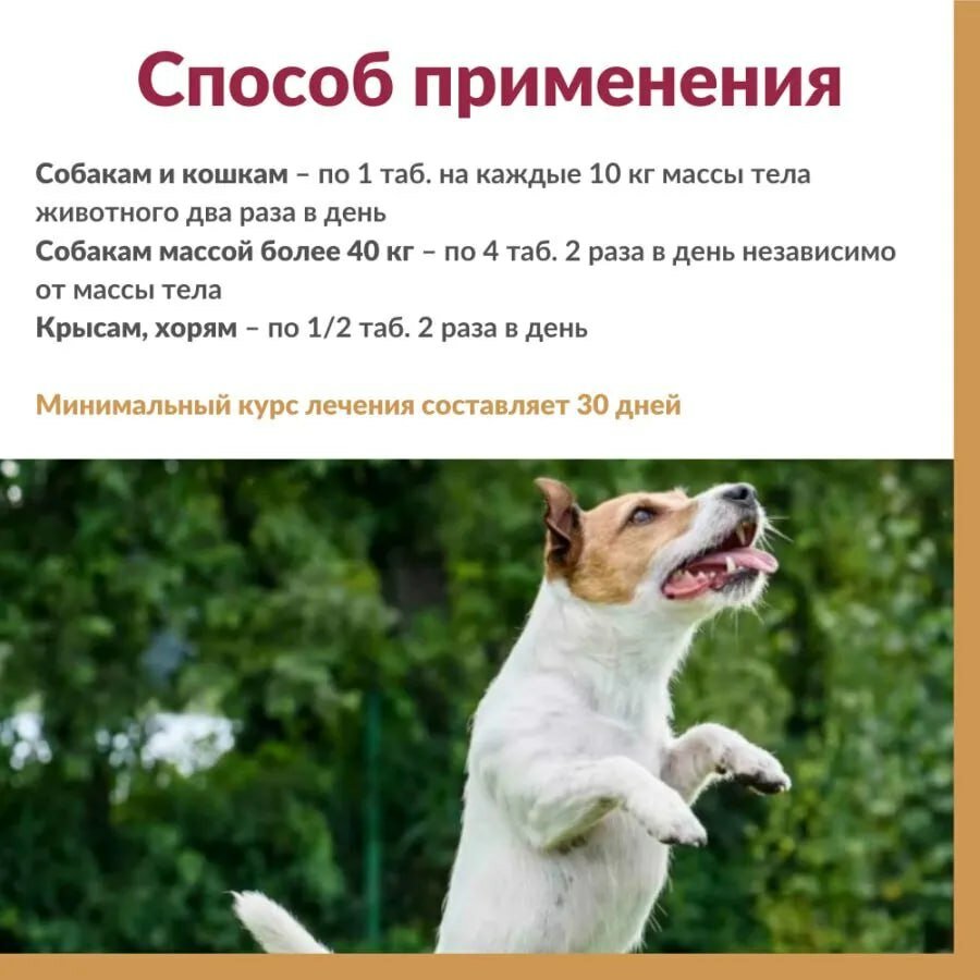 Картинки Артрогликан для кошек и собак, хондропротектор, улучшает состояние печени и сердца, таблетки, 30 таблеток, 21 гр.