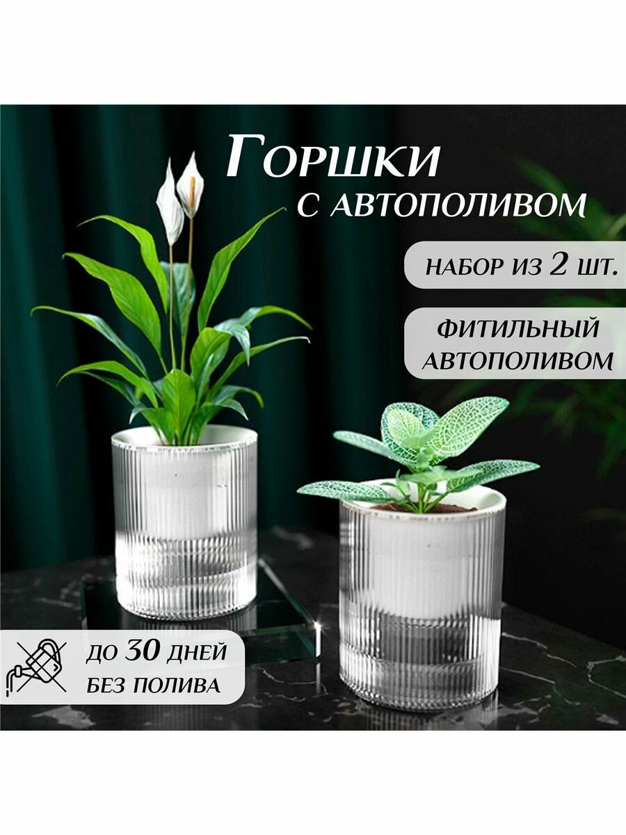 Кашпо с автополивом 12 см х 10 см х 10 см 0.350 л 2 шт