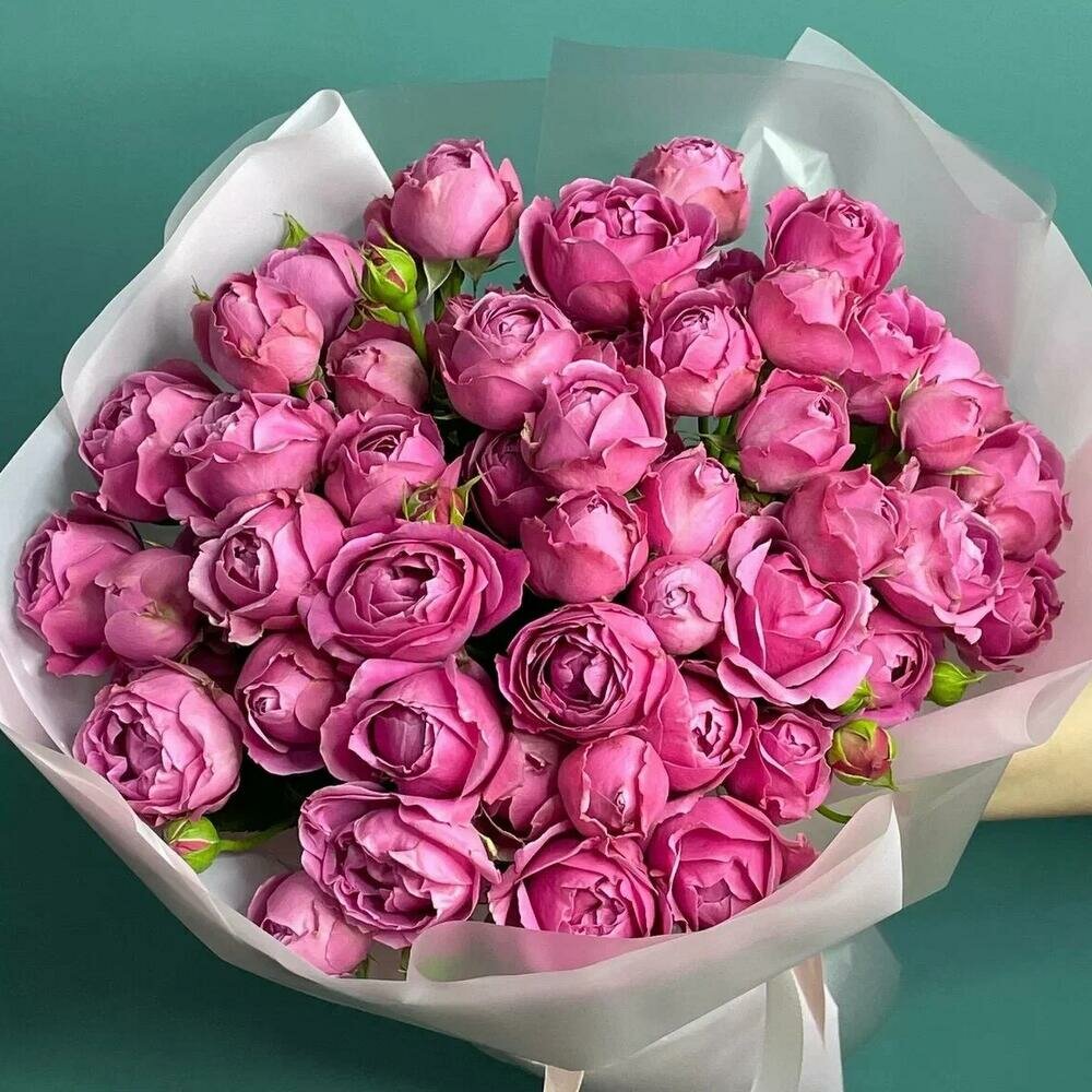 15 кустовых пионовидных премиум роз Мисти Баблс 50 см