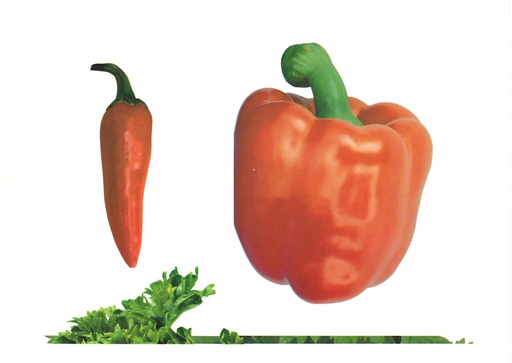 Комплект демонстрационных и раздаточных карточек "Овощи"