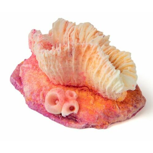 Гониопора персиковая (светящаяся) КС-1816