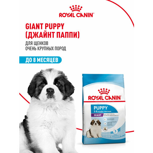 Сухой корм Royal Canin Giant Puppy (Джайнт Паппи) для щенков очень крупных пород до 8 месяцев, 15 кг