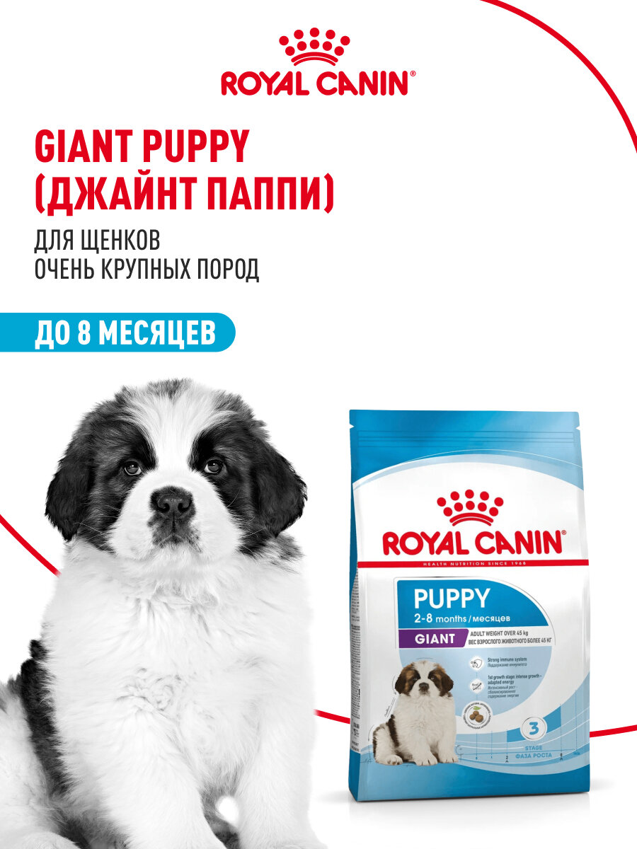 Сухой корм для щенков Royal Canin Giant Puppy для очень крупных пород, 3,5 кг