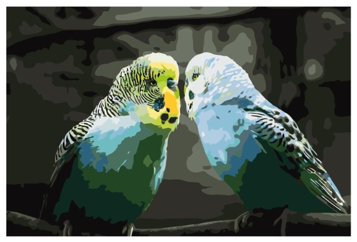Волнистые попугайчики Раскраска картина по номерам на холсте