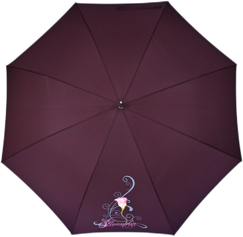 Зонт-трость Airton, полуавтомат, купол 104 см, 8 спиц, система «антиветер», для женщин, бордовый