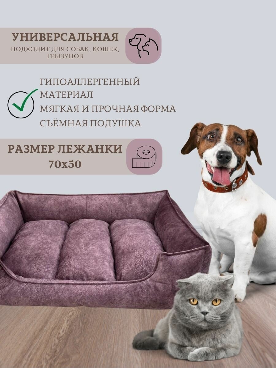 Лежанка для собак малых и средних пород, кошки и кота со съёмным чехлом и подушкой 70х50 см - фотография № 2