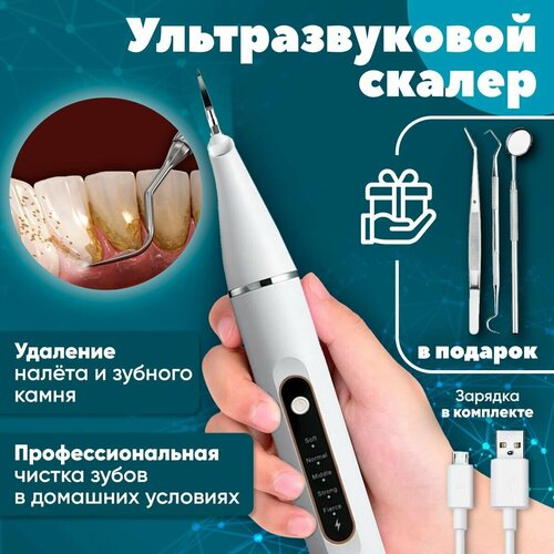 Скалер ультразвуковой для зубов FELFRI 239000₽