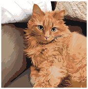Картина по номерам "Рыжий кот", 40x40 см