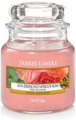 Лучшие Декоративные свечи Yankee Candle