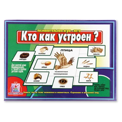 Игра Кто как устроен?