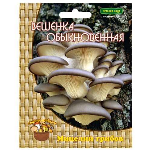 Мицелий грибов Вешенка обыкновенная 12 др. п. мицелий грибов шиитаке 12 др п