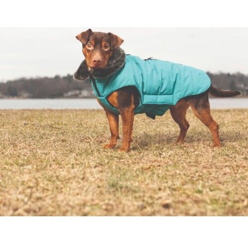 Зимняя куртка Dog Gone Smart Наноя с мех. воротником Hemlock Jacket 45см, синий лазурит